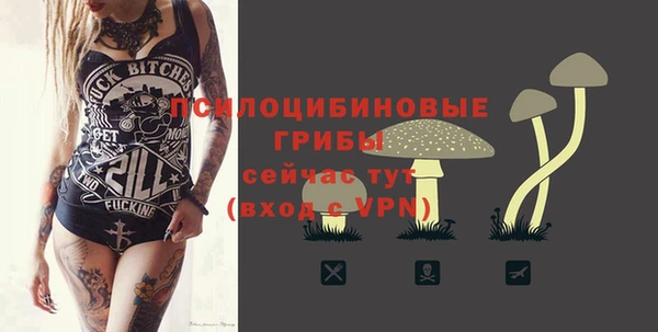 тгк Алзамай