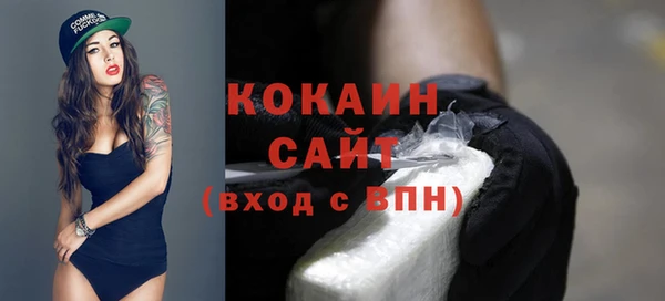 тгк Алзамай