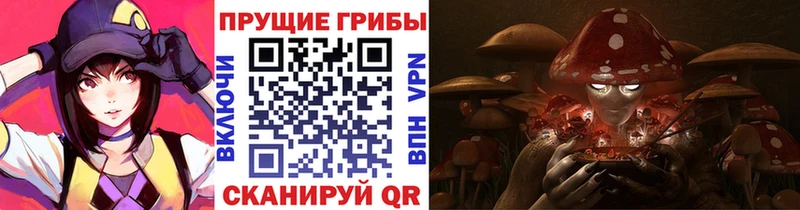 Галлюциногенные грибы Cubensis МЕГА tor Ряжск
